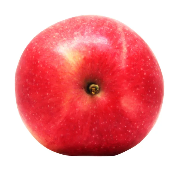 Κόκκινα Φρούτα Μήλο Απομονώνονται Λευκό Φόντο Φυσικό Διατροφικό Υπόβαθρο Στοιχείο — Φωτογραφία Αρχείου