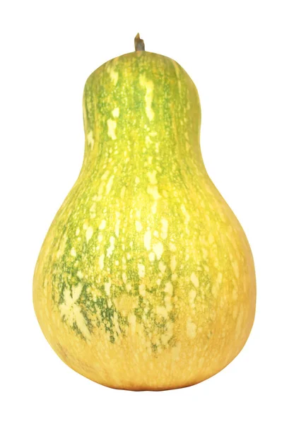 Squash Pumpa Isolerad Vit Bakgrund Naturlig Mat Bakgrund Vegetabiliskt Designelement — Stockfoto