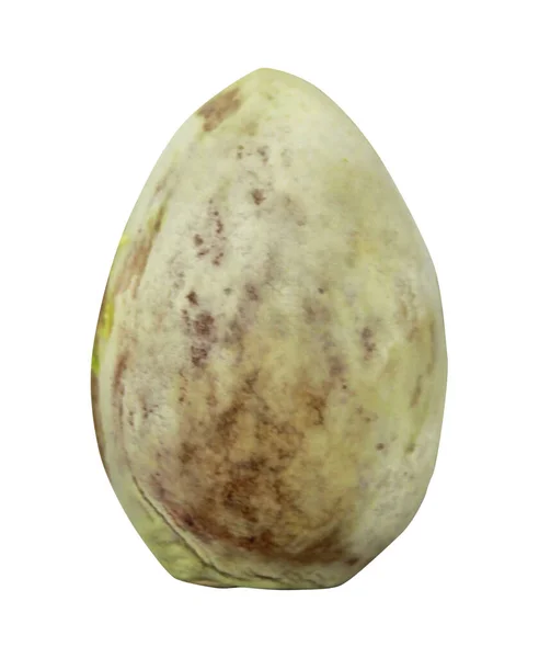 Avokado Tohumu Beyaz Arkaplanda Izole Edilmiş Doğal Gıda Geçmişi Meyve — Stok fotoğraf