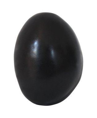  Beyaz arka planda yalıtılmış erik meyvesi. Doğal gıda geçmişi. Meyve tasarımı ögesi