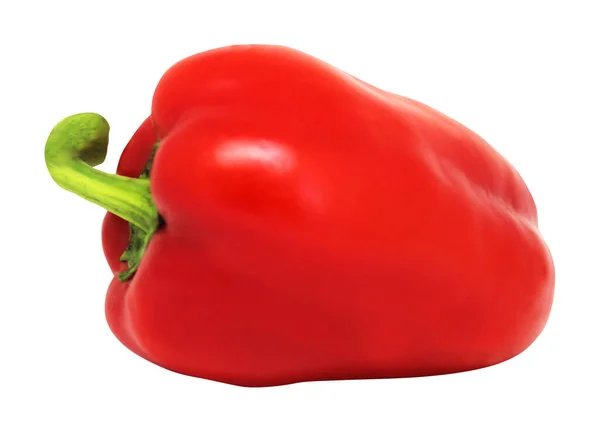 Piros Paprika Elszigetelt Fehér Háttérrel Természetes Étel Háttér Növényi Tervezési — Stock Fotó