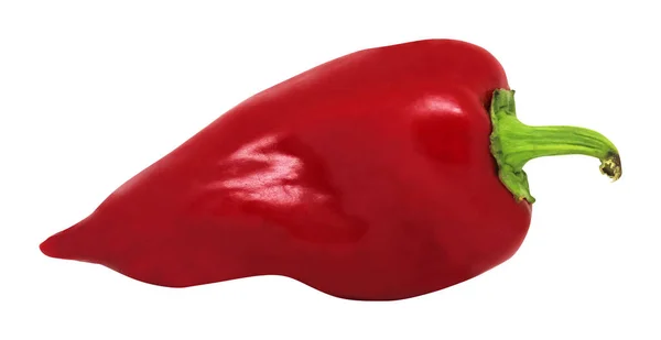 Röd Paprika Isolerad Vit Bakgrund Naturlig Mat Bakgrund Vegetabiliskt Designelement — Stockfoto