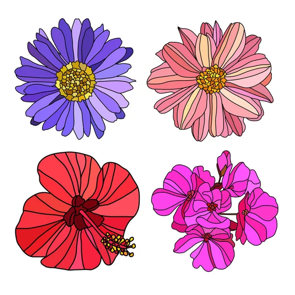 Decorative Hand Drawn Aster Dahlia Hibiscus Geranium Flowers Design Elements — Stock Vector