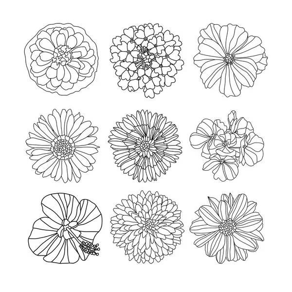 装饰花盘 设计元素 可用于卡片 邀请函 平面设计 线条艺术风格的花卉背景 — 图库矢量图片