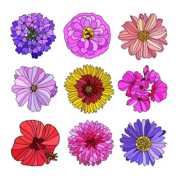 Σετ Διακοσμητικών Λουλουδιών Στοιχεία Σχεδιασμού Μπορεί Χρησιμοποιηθεί Για Κάρτες Προσκλήσεις — Διανυσματικό Αρχείο