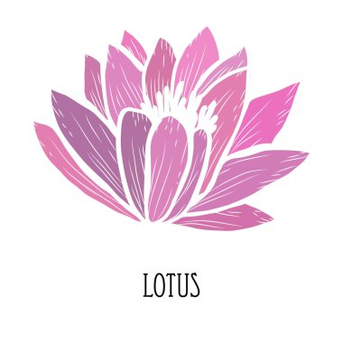 Dekoratif el çizimi nilüfer çiçeği, tasarım elementi. Kartlar, davetiyeler, afişler, posterler, baskı tasarımı için kullanılabilir. Çiçek arka planı