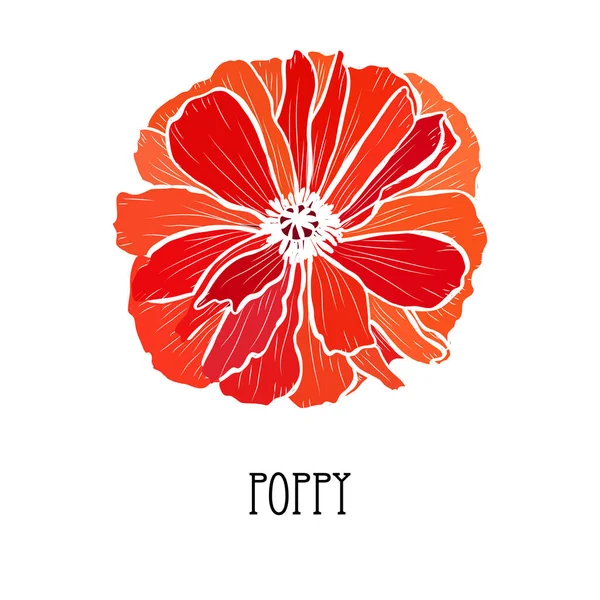 装飾的な手描きのポピーの花 デザイン要素 カード 招待状 バナー ポスター 印刷デザインに使用できます 花の背景 — ストックベクタ