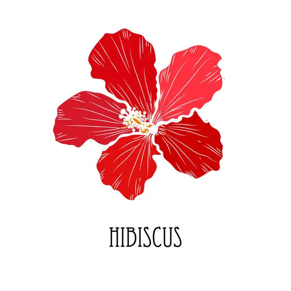 Decorative Hand Drawn Hibiscus Flower Design Element Can Used Cards — Stock Vector