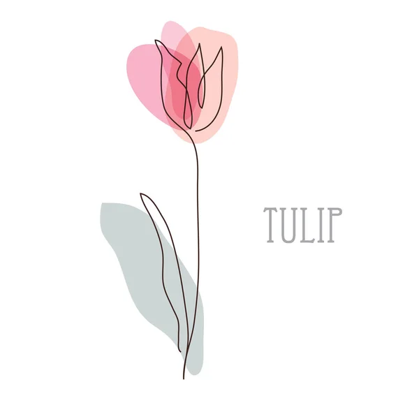 Dekoracyjny Ręcznie Rysowane Kwiat Tulipan Element Projektu Może Być Stosowany — Wektor stockowy