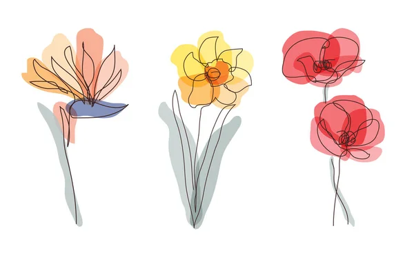 Dekoratif Strelitzia Nergis Gelincik Çiçeği Seti Tasarım Elementleri Kartlar Davetiyeler — Stok Vektör