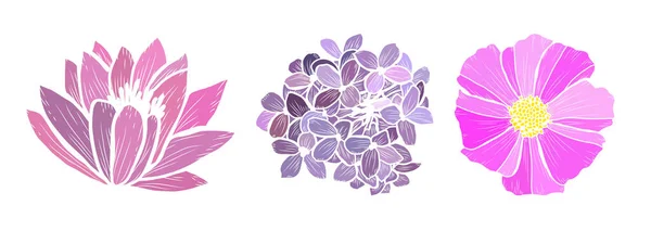 Dekoratif Nilüfer Leylak Kozmos Çiçeği Seti Tasarım Elementleri Kartlar Davetiyeler — Stok Vektör