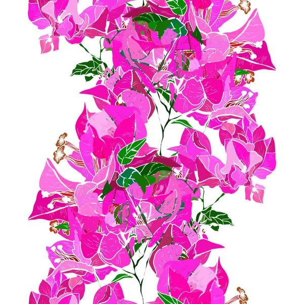 Elegant Seamless Pattern Pink Bougainvillea Flowers Design Elements Floral Pattern — Image vectorielle