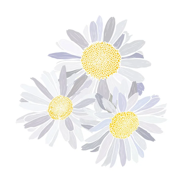 Decorative Hand Drawn Chamomile Daisy Flowers Design Elements Can Used — Stockový vektor