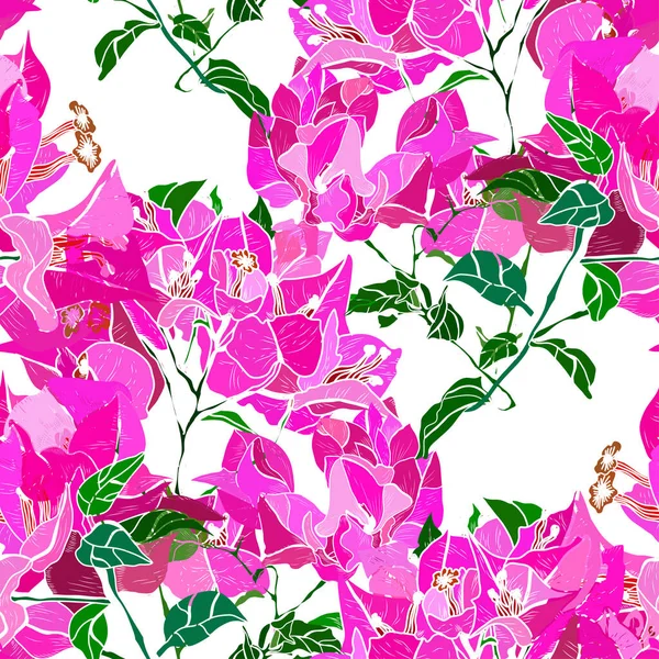 Elegant Seamless Pattern Pink Bougainvillea Flowers Design Elements Floral Pattern — ストックベクタ