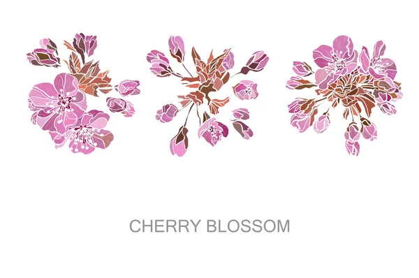 Decorative Hand Drawn Sakura Cherry Blossom Flowers Design Elements Can — ストックベクタ