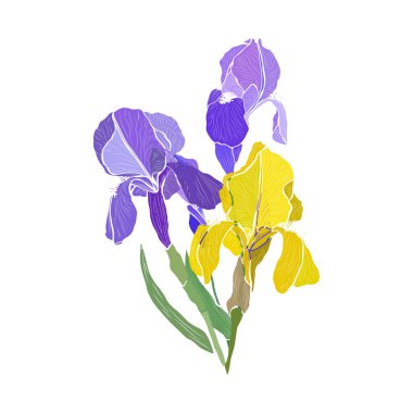 Decorative hand drawn iris flowers, design elements. Can be used for cards, invitations, banners, posters, print design. Floral background