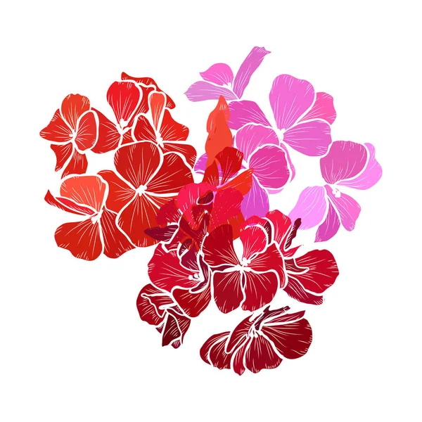 Decorative Hand Drawn Geranium Flowers Design Elements Can Used Cards — 图库矢量图片