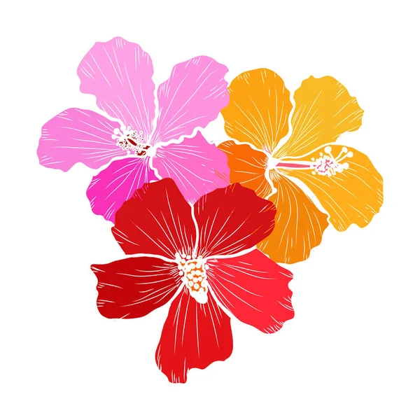 Διακοσμητικά Χειροποίητα Λουλούδια Ιβίσκου Σχεδιαστικά Στοιχεία Μπορεί Χρησιμοποιηθεί Για Κάρτες — Διανυσματικό Αρχείο
