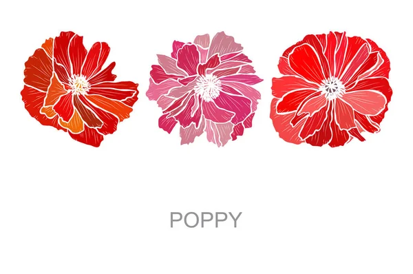 Decorative Hand Drawn Poppy Flowers Design Elements Can Used Cards — Stok Vektör