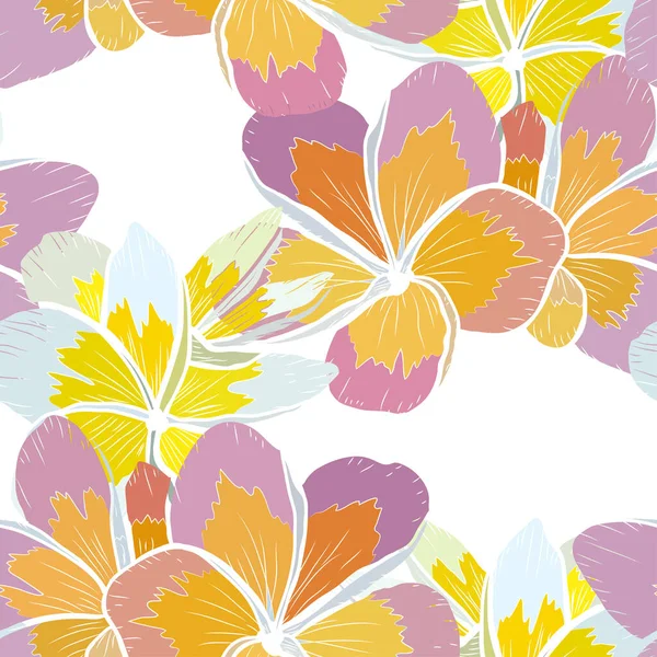 Elegant Seamless Pattern Plumeria Flowers Design Elements Floral Pattern Invitations — Stock Vector