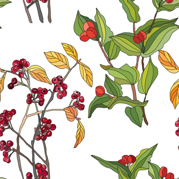 Elegant Naadloos Patroon Met Chokeberry Elfenbellen Design Elementen Herfst Bes — Stockvector