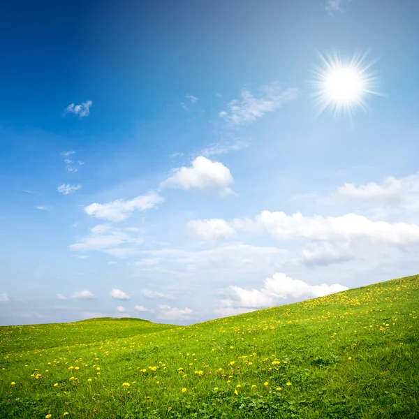 Verão paisagem rural com céu azul ensolarado — Fotografia de Stock