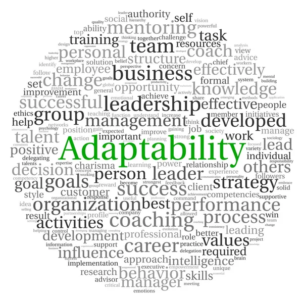 Adaptability concept in word tag cloud — Stockfoto