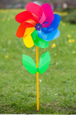 Yeşil çimlerin üzerinde fırıldak