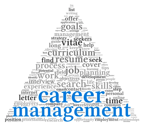 Career management in word tag cloudR — Stock Photo, Image