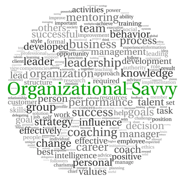 Concept d'organisation Savvy en nuage de mots clés sur fond blanc — Photo