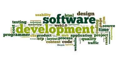 Software development concept in tag cloud on white background clipart