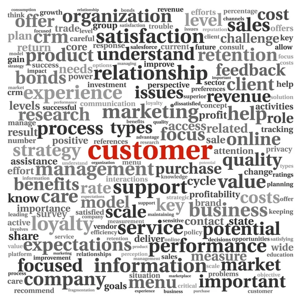 Customer concept in word tag cloud on white — Stock Photo, Image
