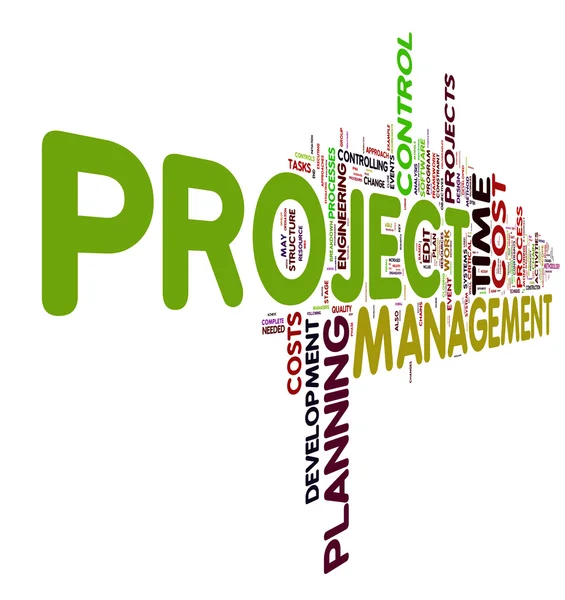 Projektmanagement in der Tag Cloud — Stockfoto