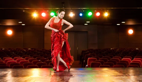 Flamenco szenvedély Stock Kép