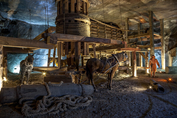 The hard work of men and horses in the Middle Ages shows how salt was mined