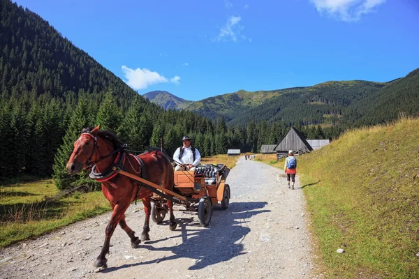 On a mountain trail — Stock Photo, Image