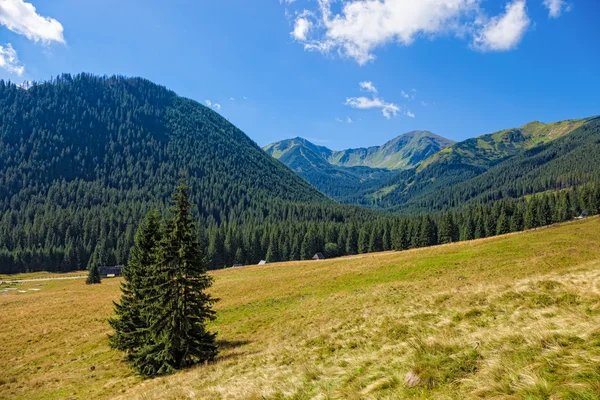 On a mountain trail — Stock Photo, Image