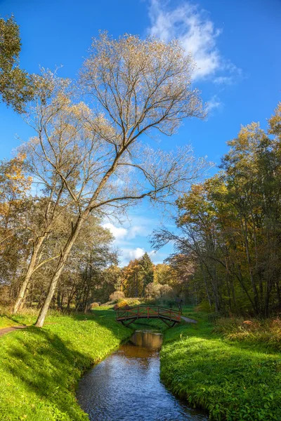 Höstens trä bro över bäck — Stockfoto