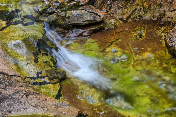 Creek in bos - lange blootstelling — Stockfoto