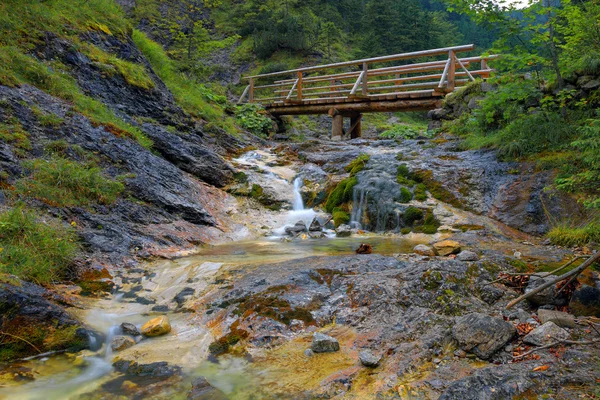 Arroyo en el bosque - larga exposición — Foto de Stock