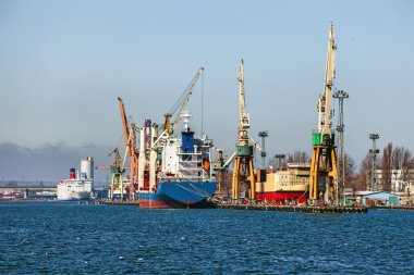 gdynia limanı