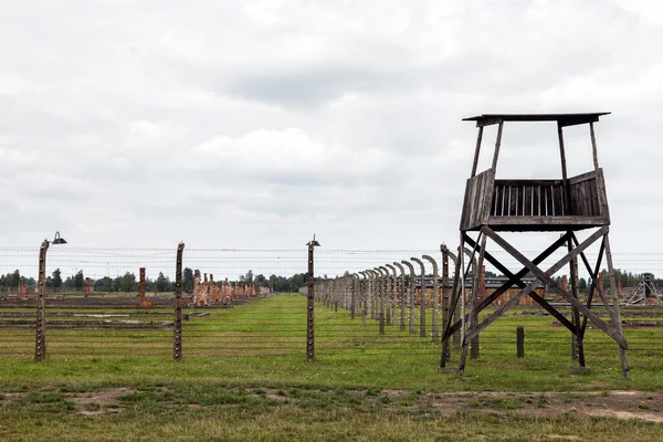 Auschwitz — Foto Stock