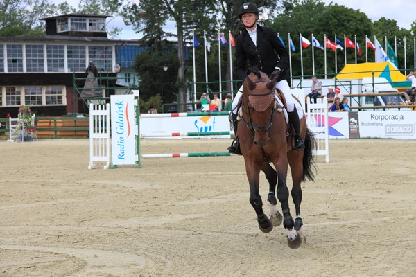 Paardenspringen — Stockfoto