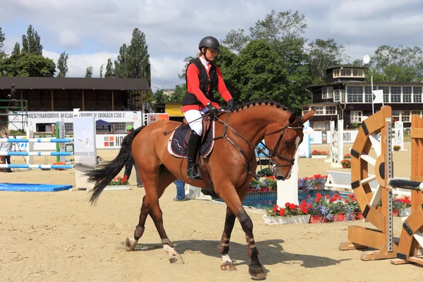 Paardenspringen — Stockfoto