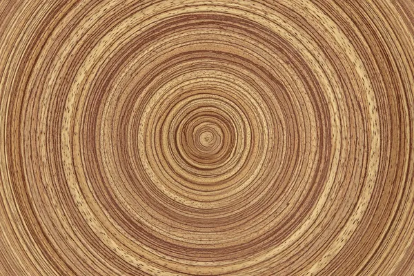 Anelli di legno — Foto Stock