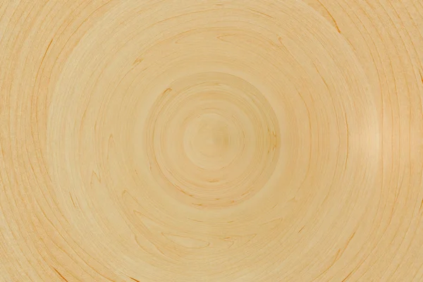 Деревянные кольца — стоковое фото