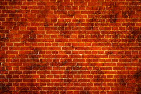 The wall — Stock Photo, Image