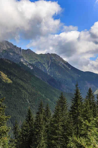 Paysage des montagnes Tatra — Photo