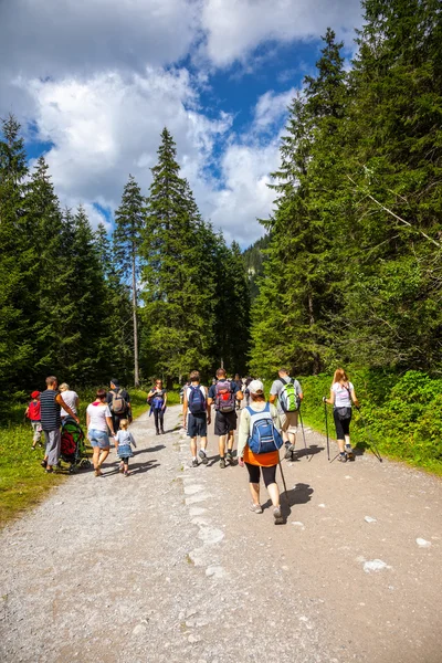 På en fjellsti – stockfoto