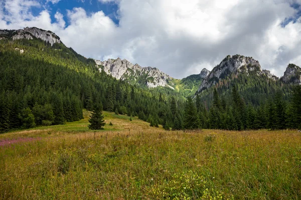Paysage des montagnes Tatra — Photo